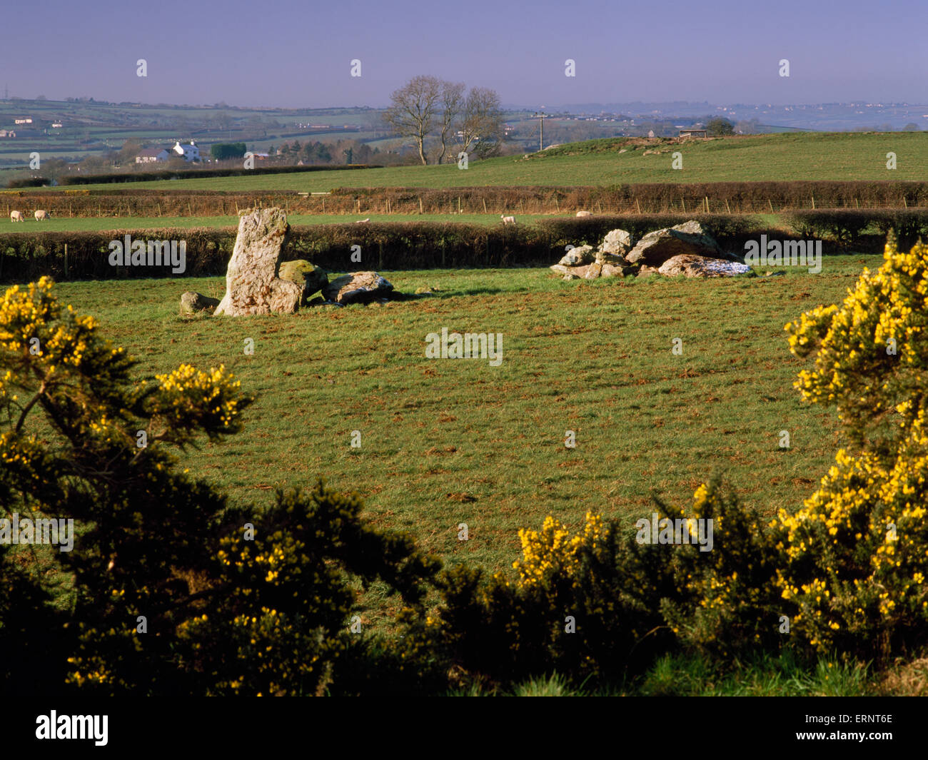 Dos grupos de cámara funeraria contraída piedras del Neolítico Hendrefor tumba, Anglesey, con piedra en el portal in situ E (L). Montículo retirados por la agricultura. Foto de stock