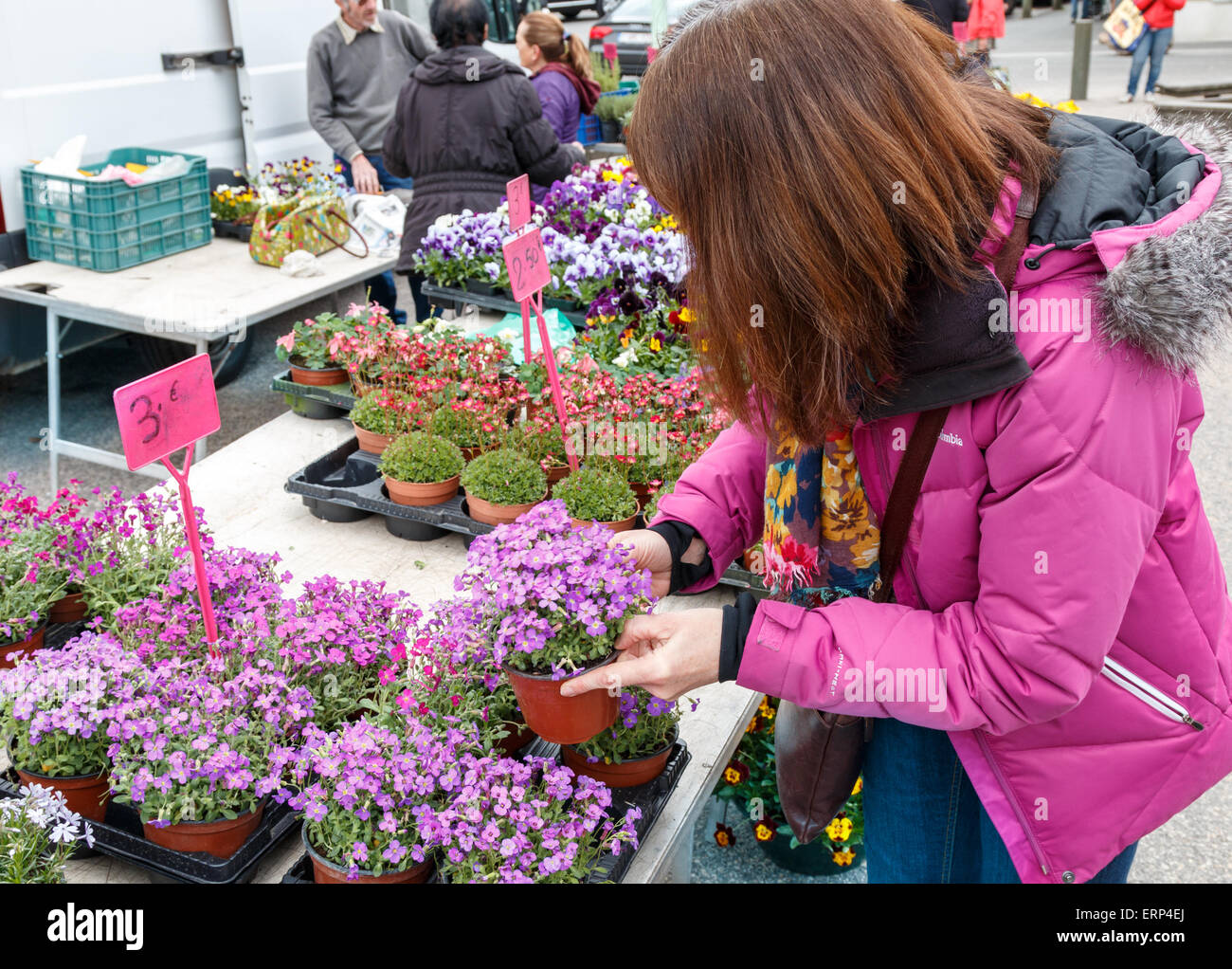 Mujer comprar plantas en un puesto en el mercado francés. Foto de stock