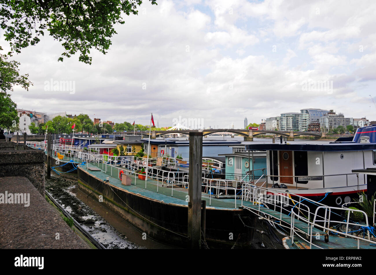 Casa botes, Chelsea Embankment, Londres, Inglaterra Foto de stock
