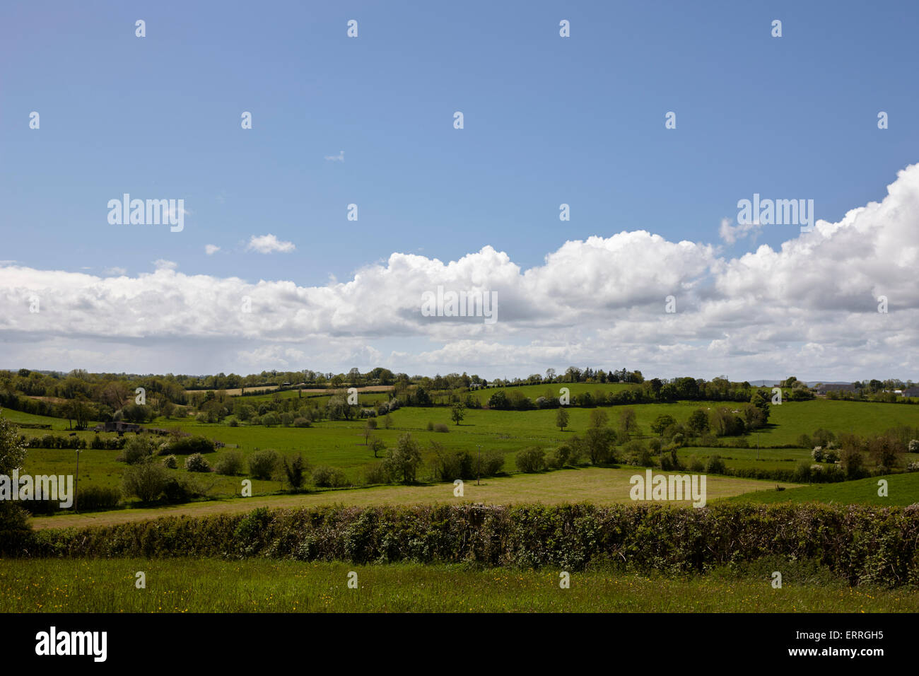 Verdes campos rurales bajo un cielo azul en la Irlanda rural tydavnet monaghan república de Irlanda Foto de stock