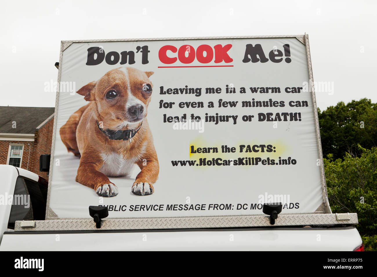 donante Puñado Toro Tablón de anuncios de servicio público sobre los peligros de dejar mascotas  en hot cars - EE.UU Fotografía de stock - Alamy