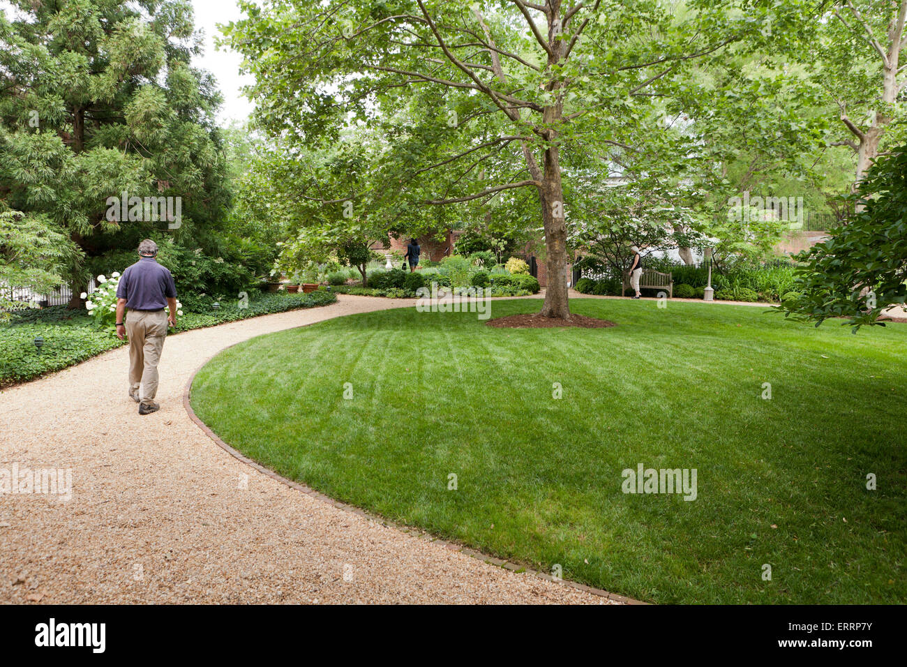 Hombre caminando en el camino de gravilla en jardín público - EE.UU. Foto de stock