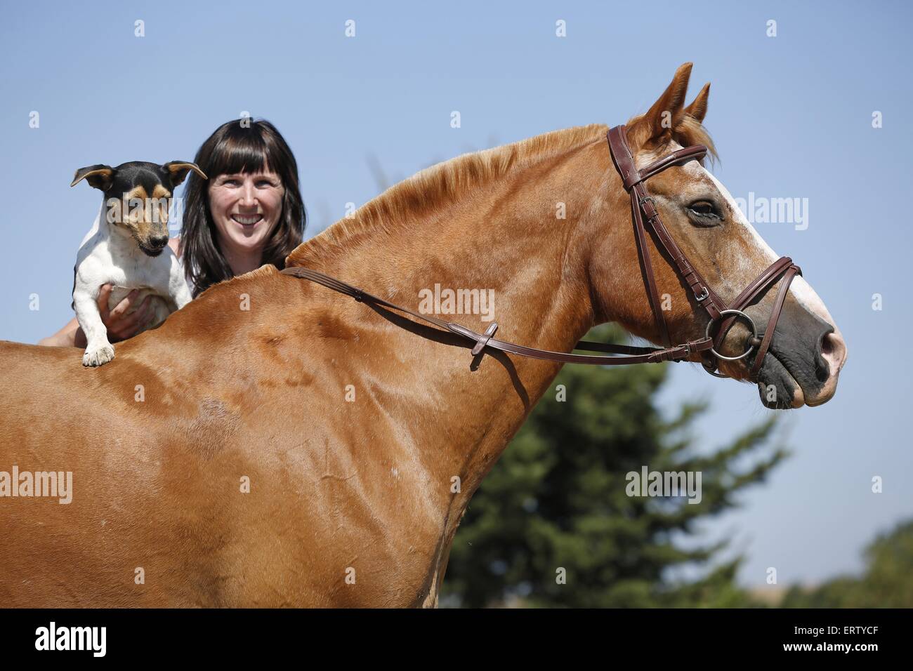 Mujer con caballo Foto de stock