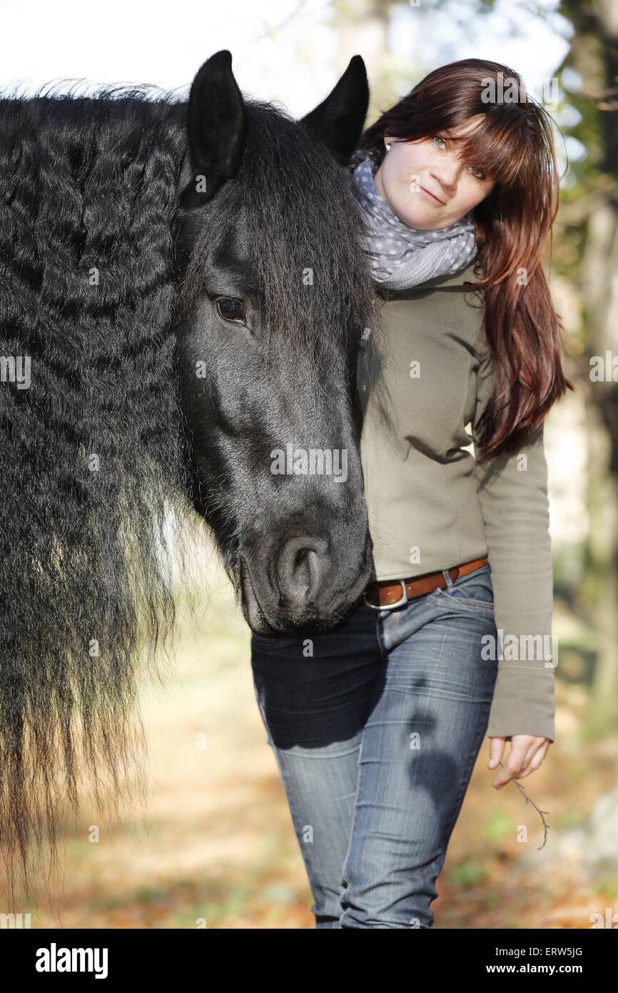 La mujer y el frisón caballo Foto de stock