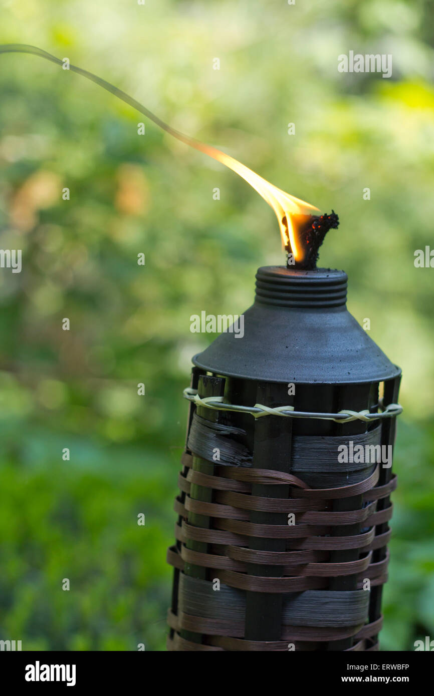 Citronela repell bambú antorchas para los mosquitos y otros insectos  Fotografía de stock - Alamy