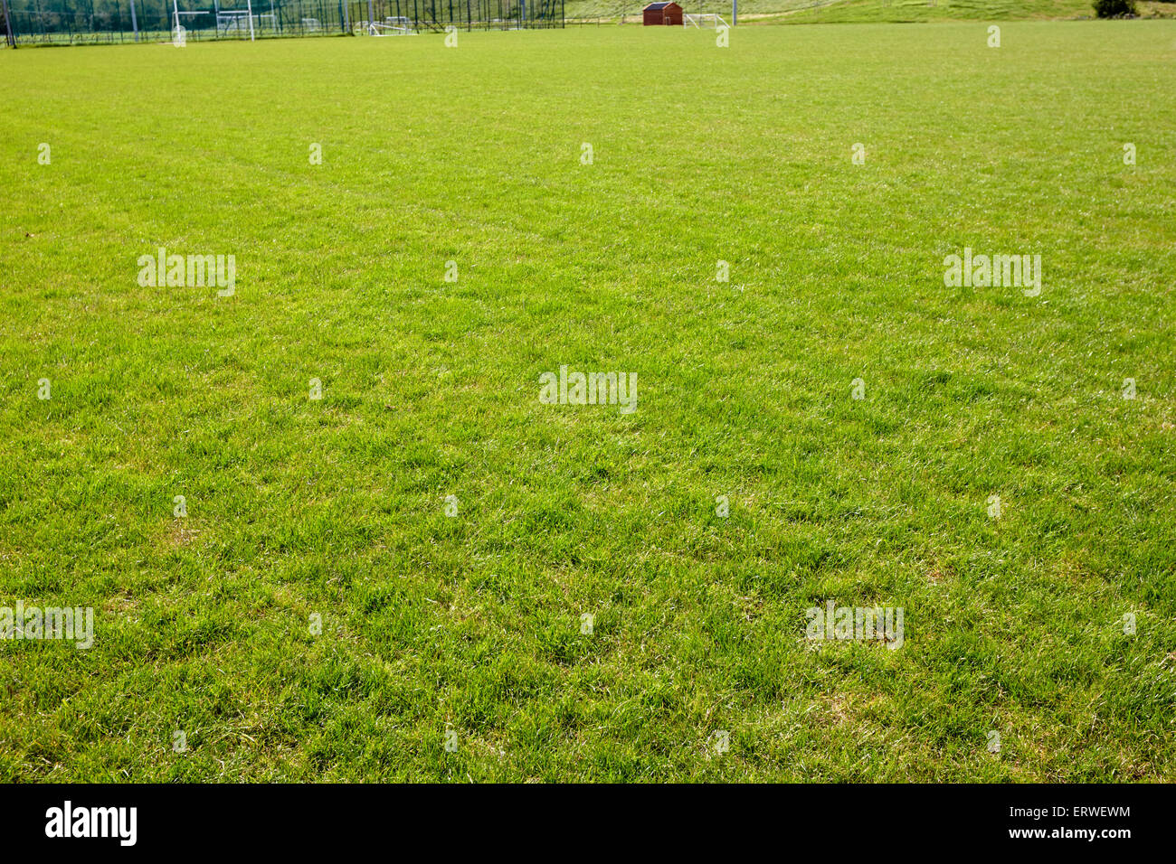La pasto verde en el campo de juego el polideportivo monaghan república de Irlanda Foto de stock