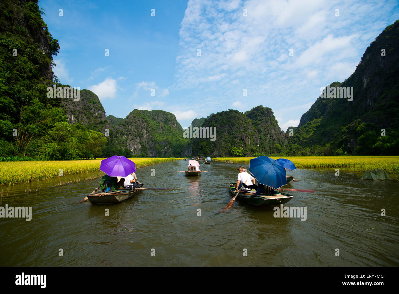 Los turistas de visita en barco en el río y los campos de arroz, NinhBinh TamCoc, Vietnam Foto de stock