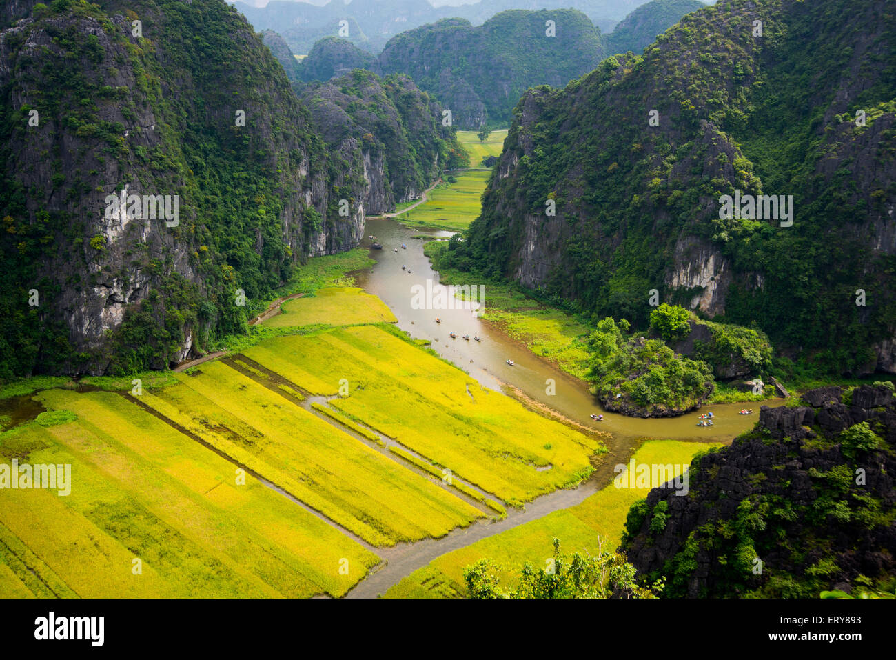 Los campos de arroz y los ríos de TamCoc, NinhBinh, Vietnam Foto de stock