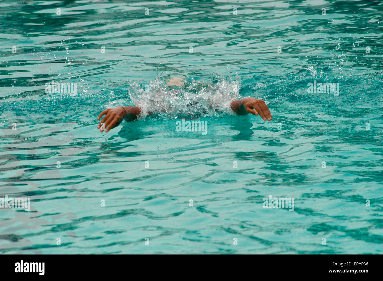Nadador práctica en piscina en Bombay Bombay ahora ; ; Maharashtra India Foto de stock