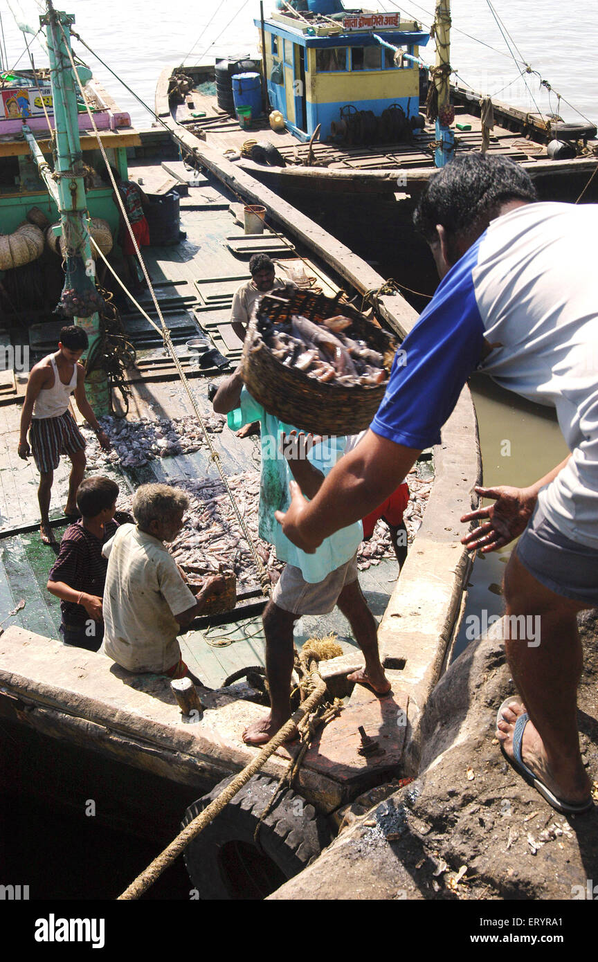Pescador que toma pescado fresco del arrastrero, muelle Sassoon, Bombay, Mumbai, Maharashtra, India, Asia Foto de stock