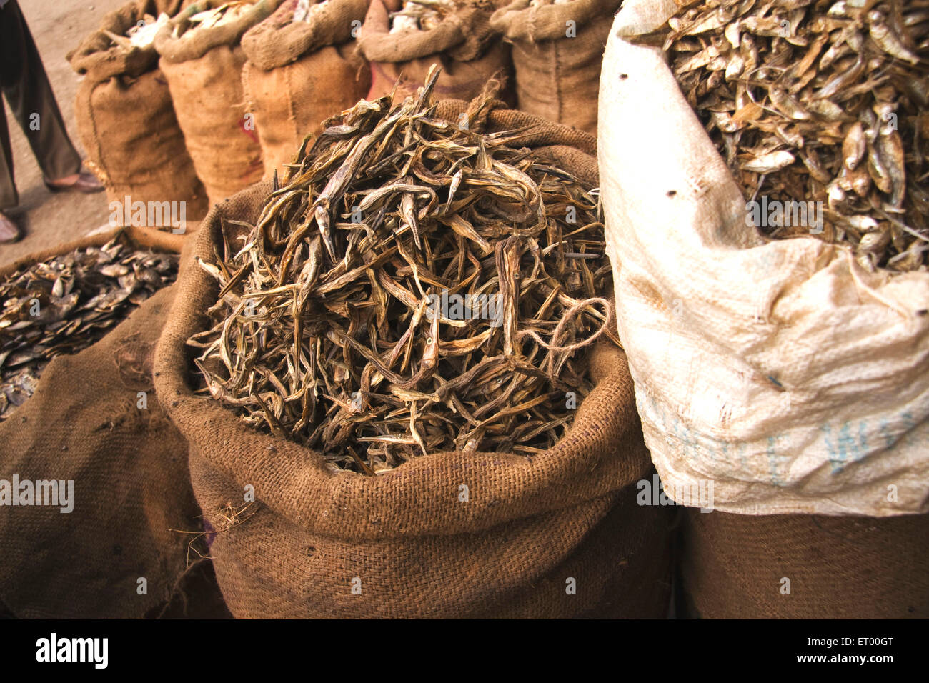 Pescado seco embalado en sacos para la venta, mercado de pescado seco, Jagiroad, Assam, India, Asia Foto de stock