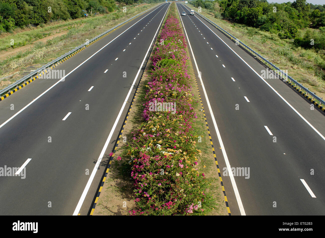 Ahmedabad Vadodara Expressway con flores cama Autoridad Nacional de Autopistas en India Gujarat India Foto de stock