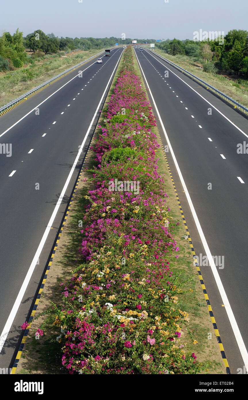 Ahmedabad Vadodara Expressway con flores cama Autoridad Nacional de Autopistas en India Gujarat India Foto de stock