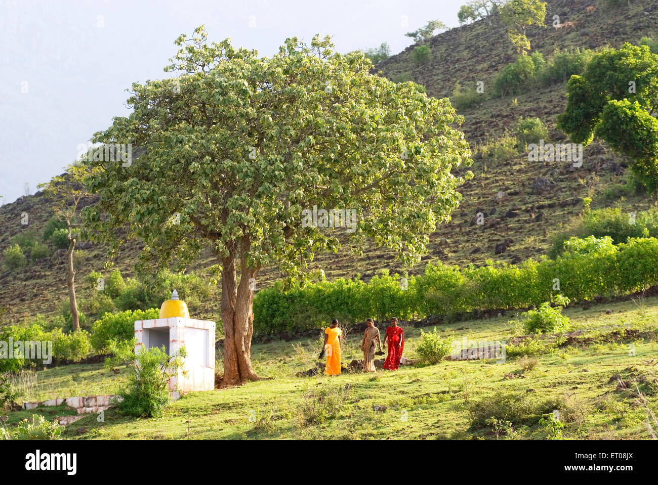 Templo de pueblo pequeño , Ooty , Udhagamandalam , Estación de la colina , Nilgiris , Ghats Occidental , Tamil Nadu , India , Asia Foto de stock
