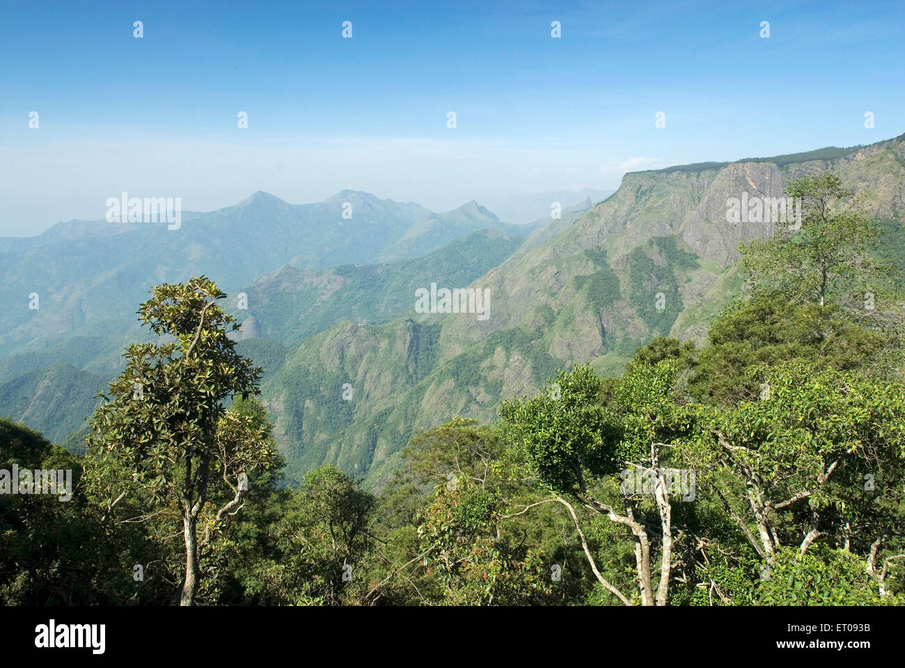 Palani Hills a 2133 metros sobre el nivel del mar ; Kodaikanal popularmente conocido como Kodai ; ; de Tamil Nadu, India Foto de stock