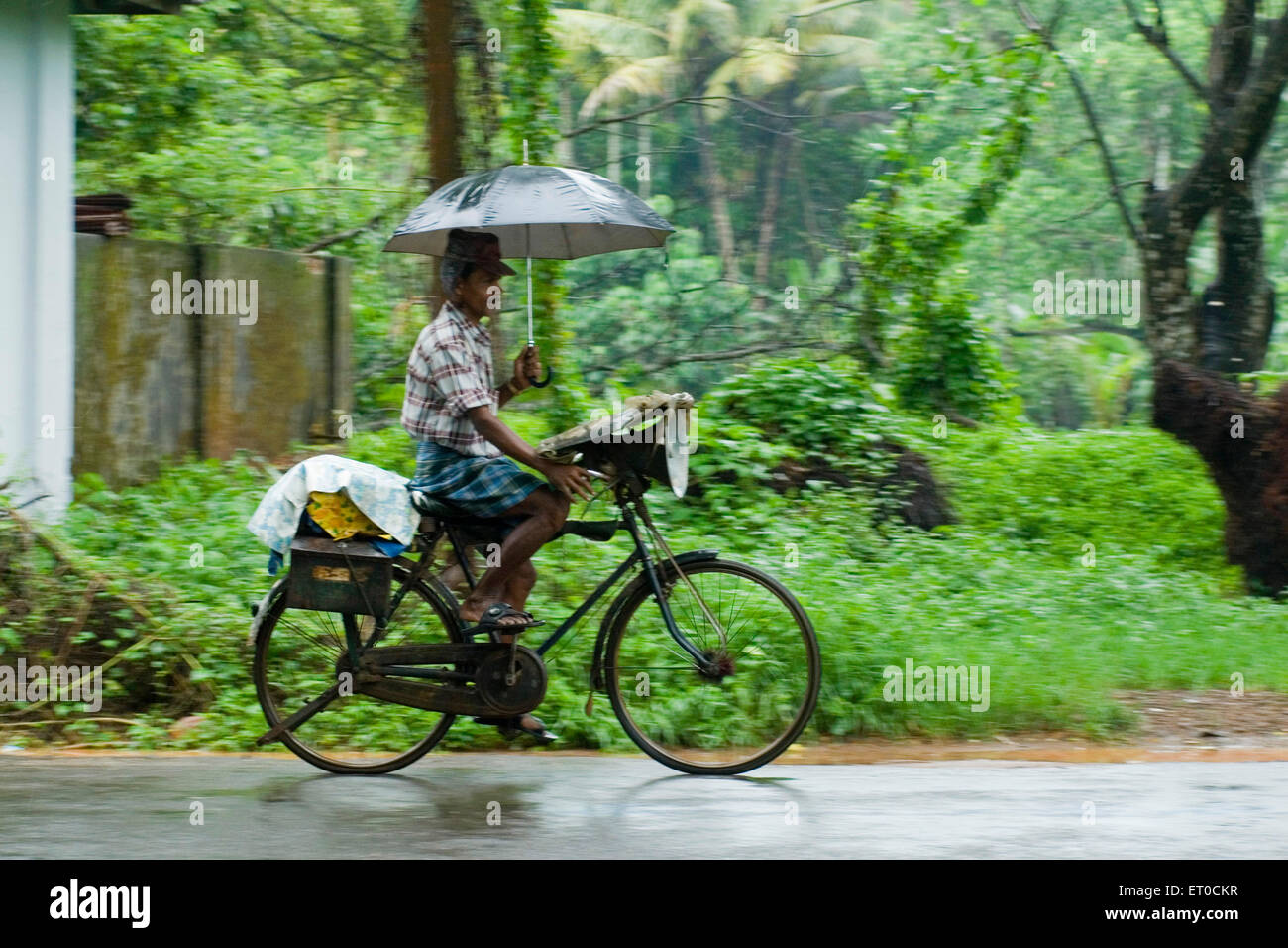 Billete de lotería vendedor montando bicicleta con paraguas en la lluvia ; ; Kerala India Foto de stock