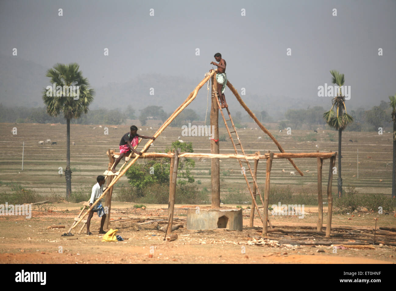 Hombres construyendo casa de madera, Jharkhand, India, arquitectura india Foto de stock