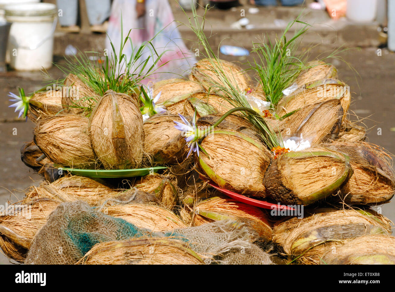 Puja Thali plato que contiene cocos flores hierba durva auspicioso ofreciendo culto señor Ganesh ; Ganapati festival en Pune Foto de stock