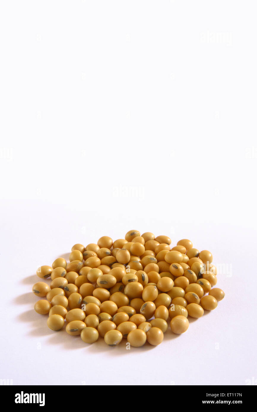 La soya o soja fuente de alimentos y petróleo sobre fondo blanco. Foto de stock
