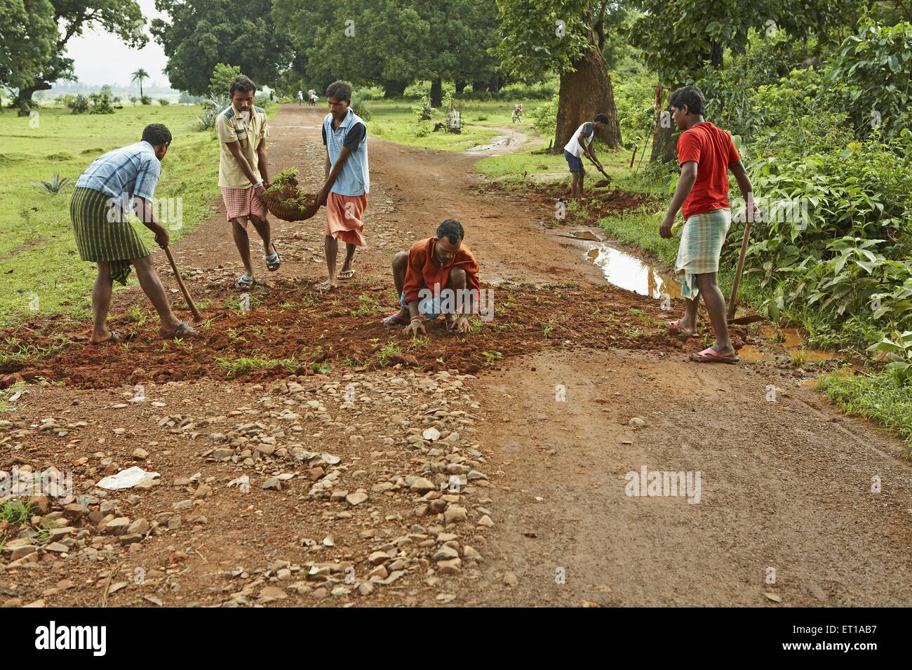 Jóvenes reparación de carreteras, ONG, Chinmaya Organización de Desarrollo Rural, CORD, Deuladiha, Telkoi, Kendujhar, Orissa, Odisha, India, Asia Foto de stock