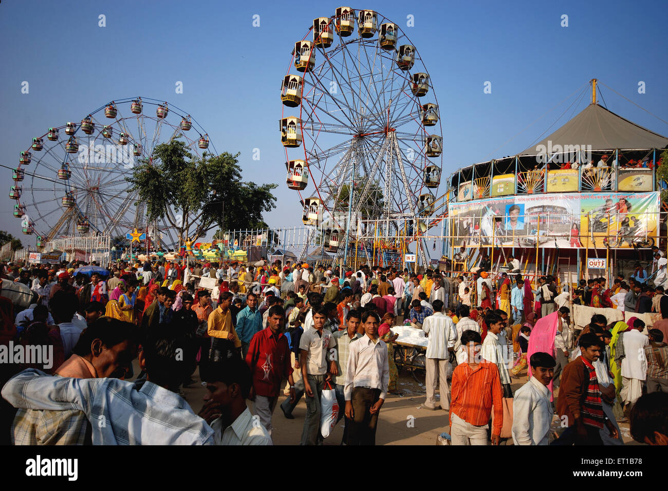 Feria de Pushkar ; rueda de ferris ; muro de la muerte ; motordrome ; velódromo ; pozo de la muerte ; Pushkar ; Ajmer ; Rajasthan ; India Foto de stock