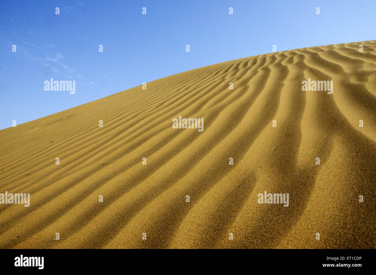 En la duna de arena khuri en Jaisalmer Rajasthan India Foto de stock