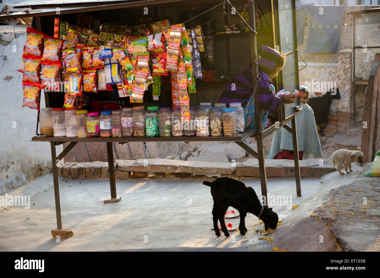 Chica en la tienda del vendedor Bikaner Rajasthan India Asia Foto de stock