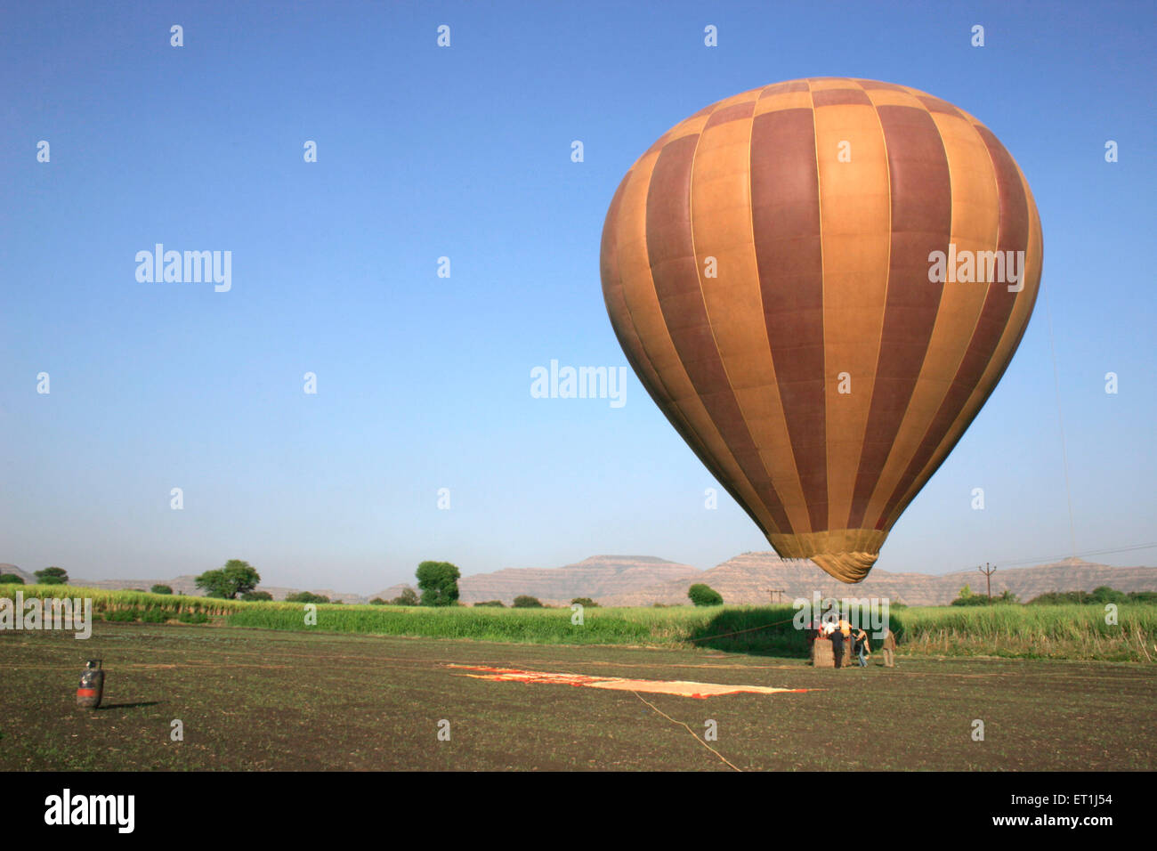 Rayas de color marrón del vuelo en globo de aire caliente por encima de las granjas de caña de azúcar Wai ; ; ; Maharashtra India Foto de stock