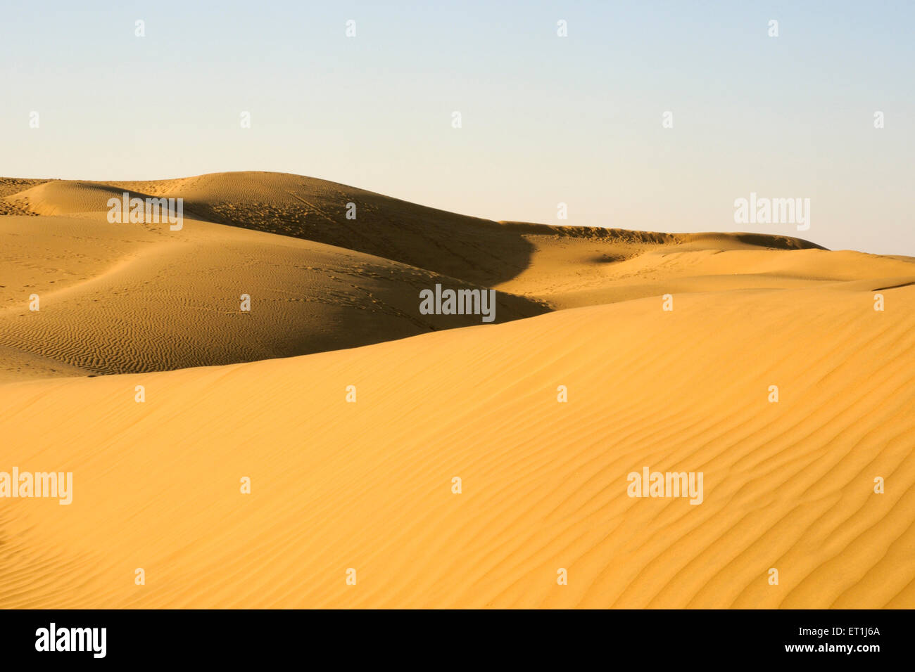 Diseño de rizo en dunas de arena debido al viento con juego de luz y sombra en Sam ; ; ; Rajasthan Jaisalmer India Foto de stock