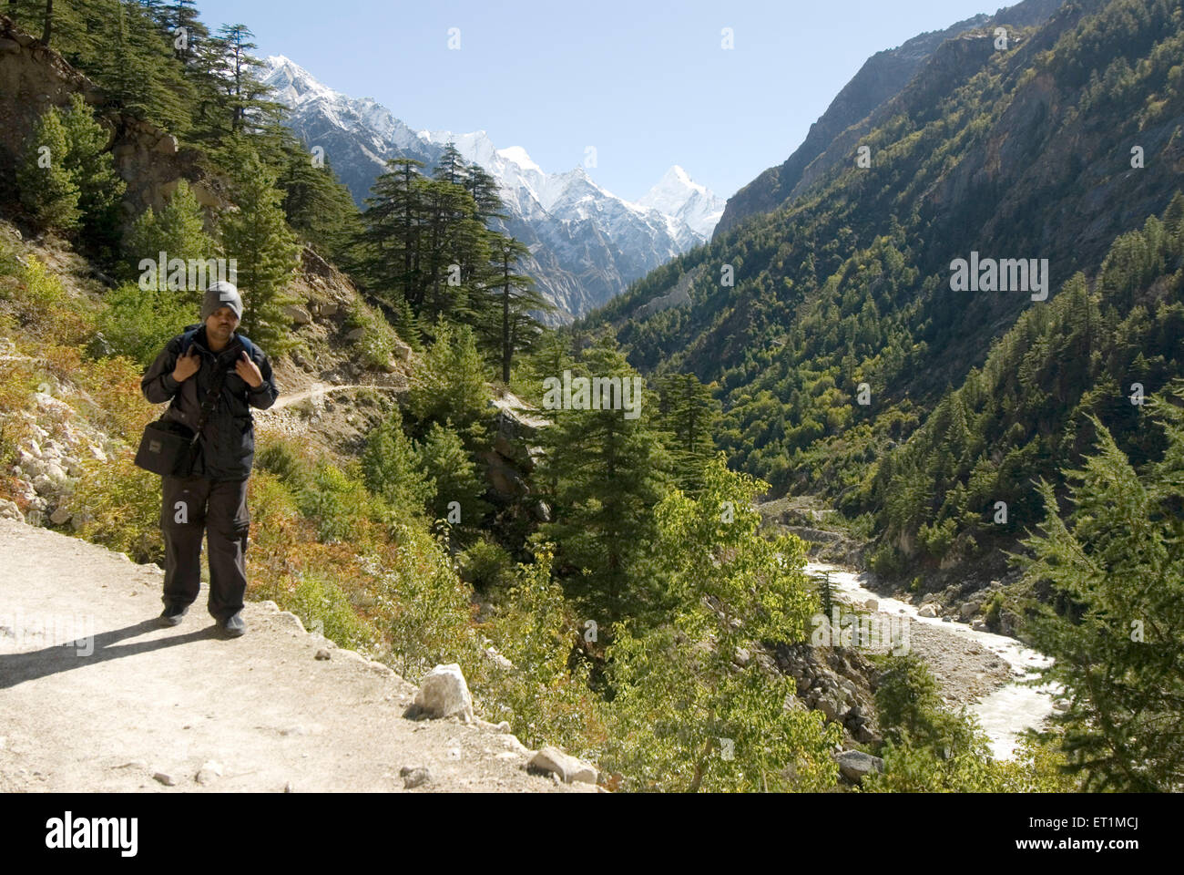 Trekker viniendo desde gomukh del Ganges río y paisaje del Himalaya ; ; Uttaranchal India Foto de stock