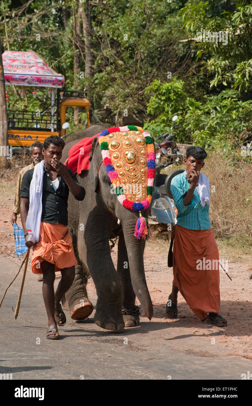 Elefante y mahout adornados capeados ; Kerala ; India ; Asia Foto de stock