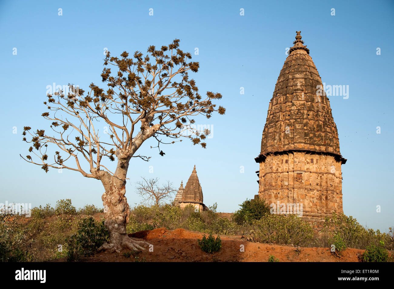 Templos en Orchha Tikamgarh ; ; ; de Madhya Pradesh, India Foto de stock