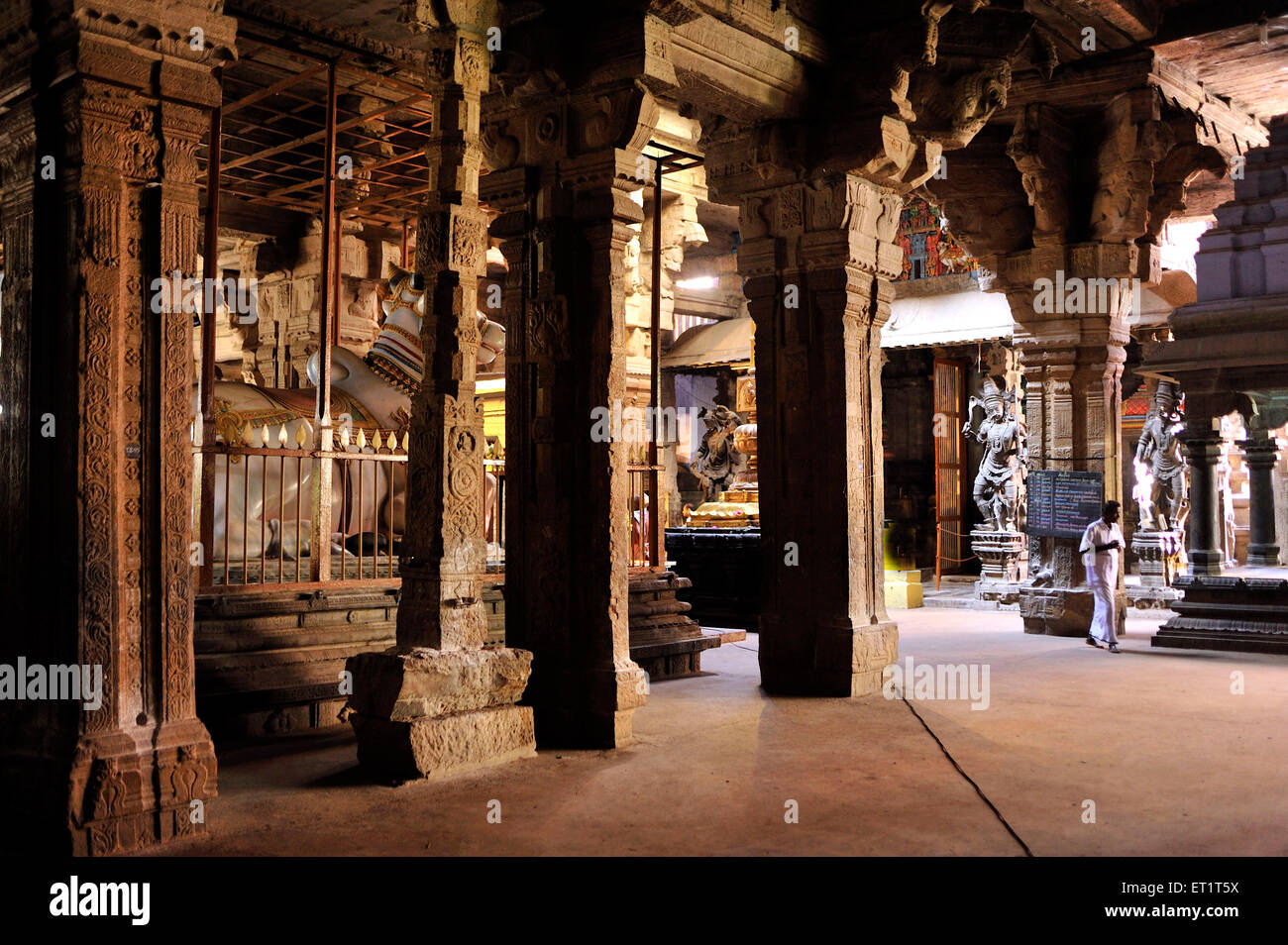 Templo Nellaiappar Kanthimathi en Tirunelveli Tamilnadu, India Asia Foto de stock