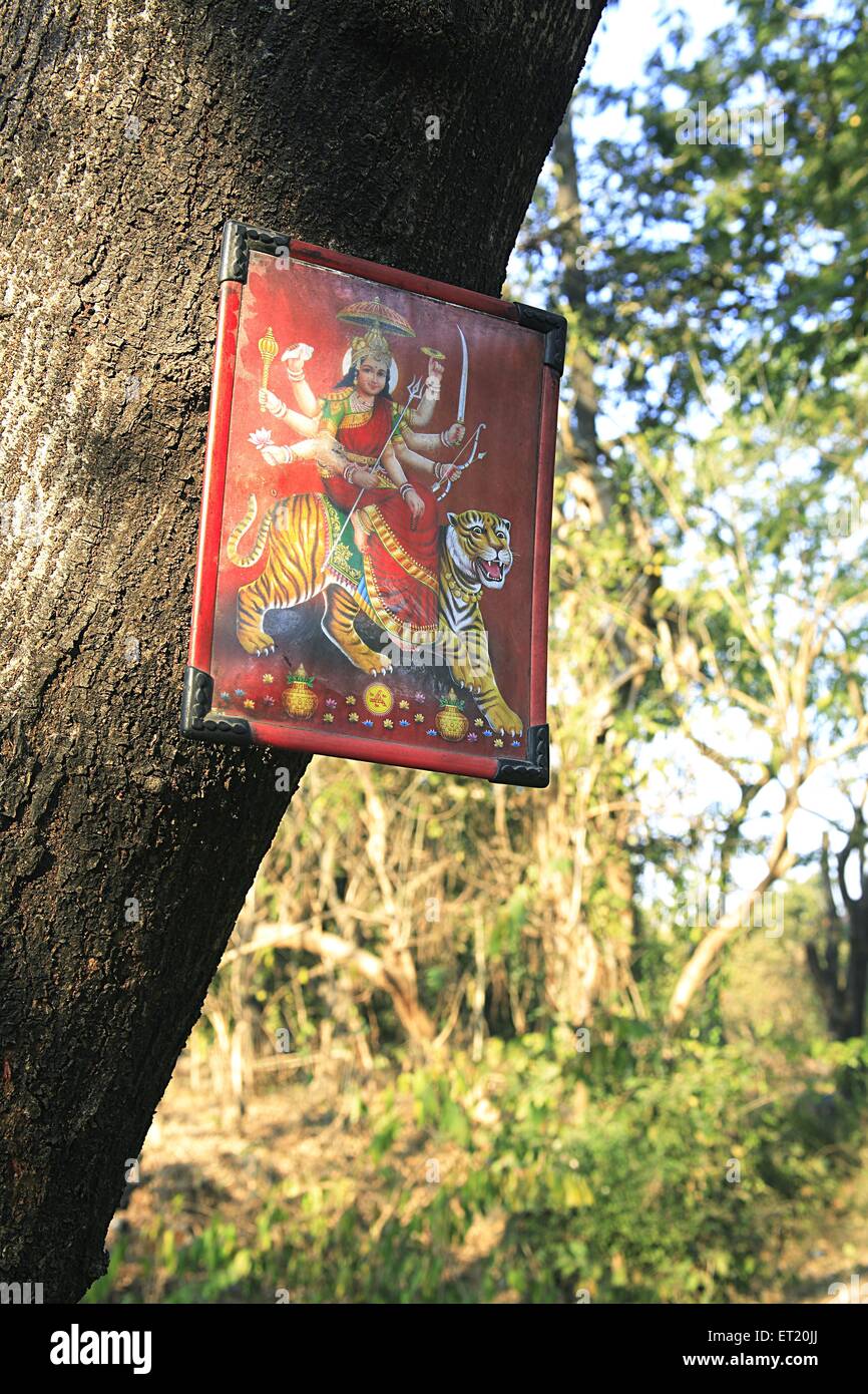 Marco de fotos de la diosa Durga en el tronco del árbol; Parque Nacional Sanjay Gandhi; Parque Nacional Borivali; Borivali; Bombay; Mumbai; Maharashtra; India; Asia; Foto de stock