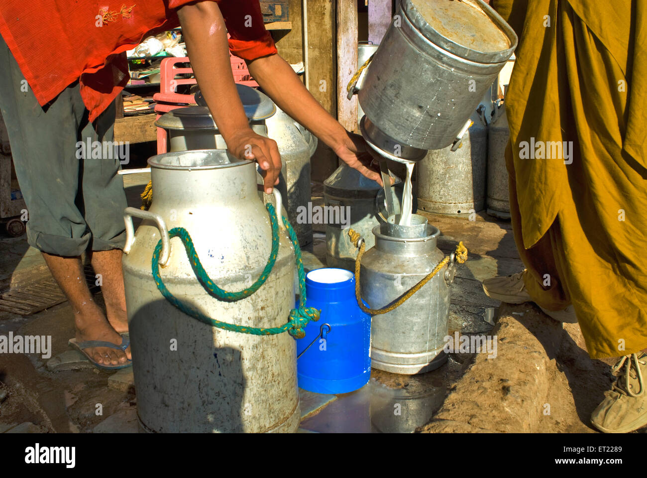 Verter la leche de uno a otro las latas de aluminio en Mahesh Productos Lácteos Bhuj ; ; ; ; Gujarat India Kutch Foto de stock