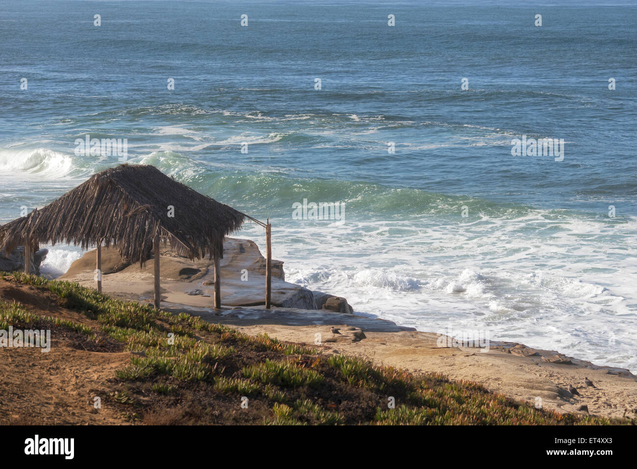 Cabaña en la playa, playa Windansea, La Jolla, California Foto de stock