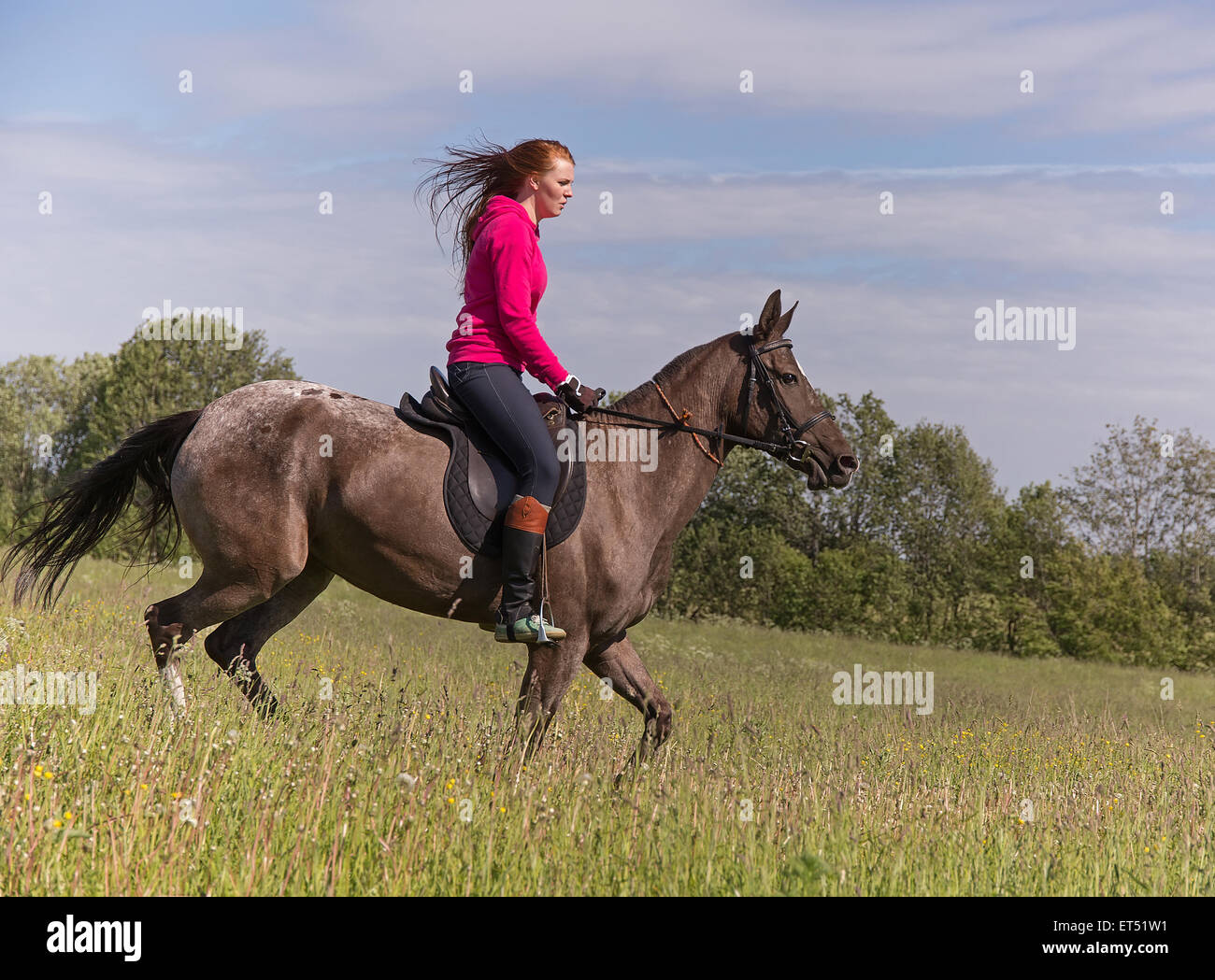 Hermosa chica pelirroja en caballo en día de verano Foto de stock