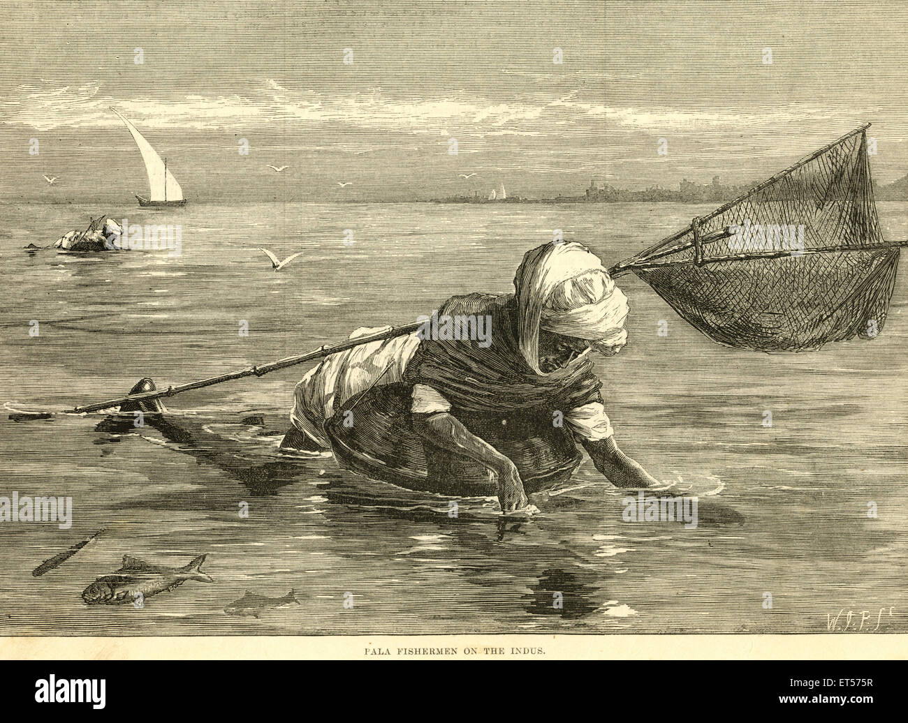 Pala pescador en el Indus ; India Foto de stock