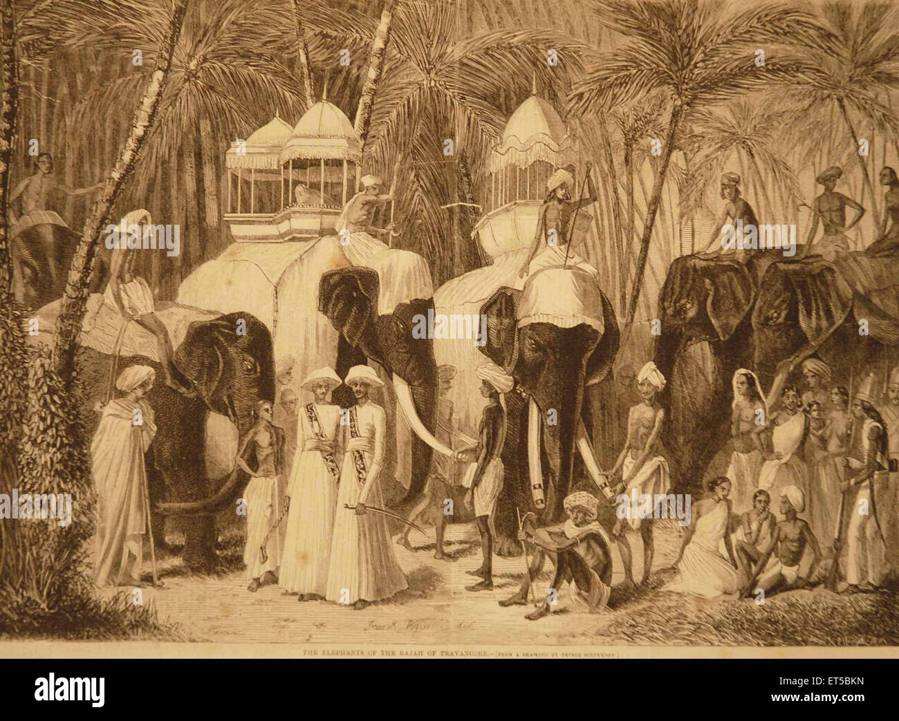 Las litografías de los elefantes del rajá de Travanoore ; India Foto de stock