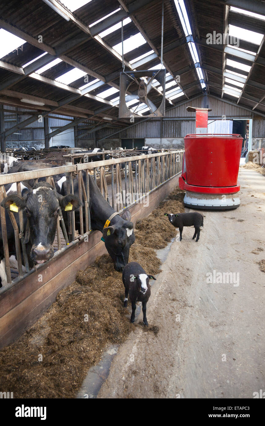 Robot de alimentación fotografías e imágenes de resolución - Alamy