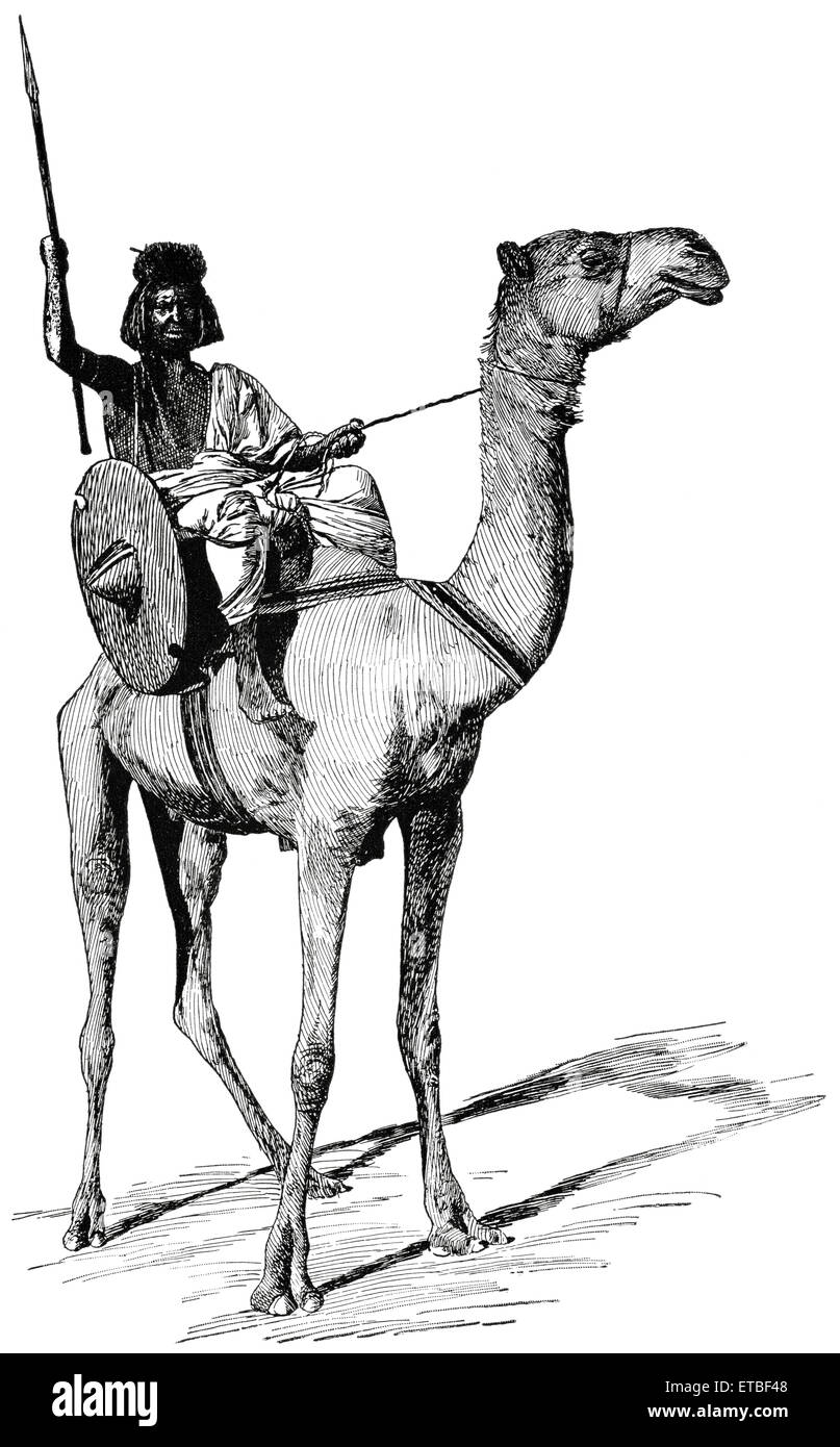 Guerrero sudanés en camello, Sudán, 'Clásico Cartera de transportistas  primitiva', por Marshall M. Kirman, ferroviario mundial Publ. Co.,  Ilustración, 1895 Fotografía de stock - Alamy