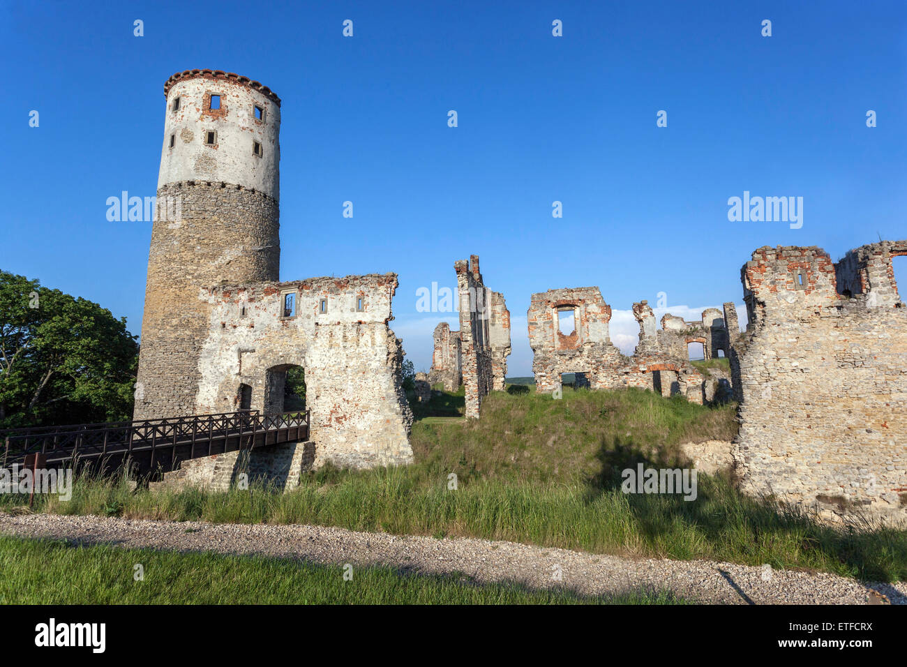 Ruinas románticas de un castillo medieval Zviretice República Checa Central Bohemia, Foto de stock