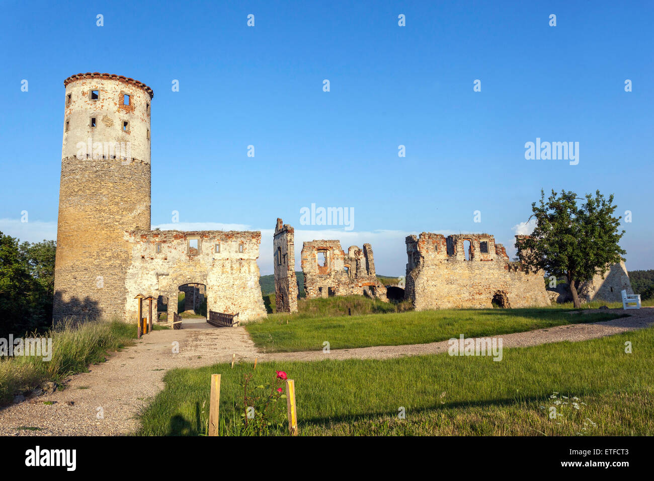 Ruinas románticas de un castillo medieval Zviretice República Checa Central Bohemia, Foto de stock