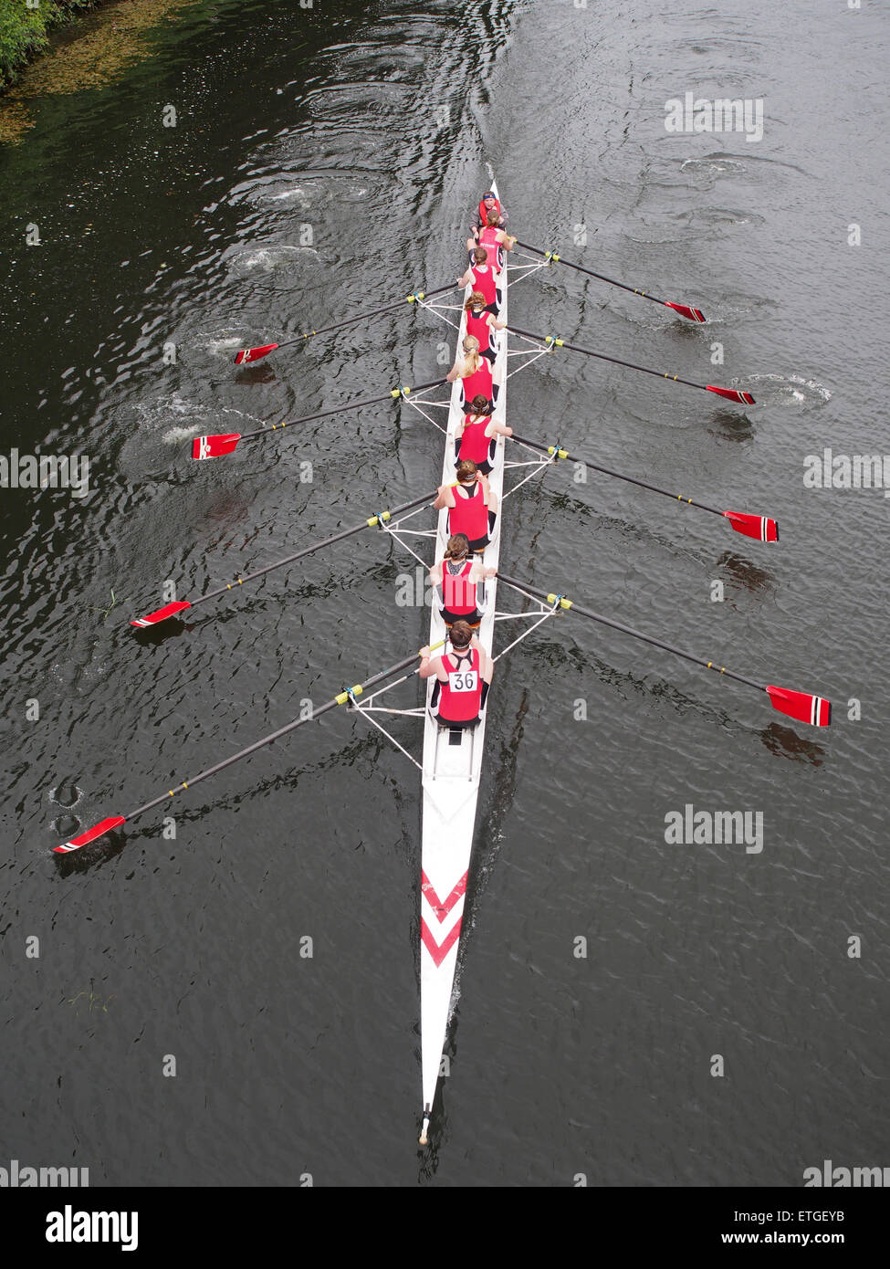 Durham, Reino Unido. 13 de junio de 2015. Los competidores racing durante la 182ª Regata de Durham. Durham regata es el segundo más antiguo del país, precedido sólo por Chester Regata. Hoy en día, la regata se lleva a cabo a través de un curso de 750 m 'short' en el escénico Río desgaste en la ciudad de Durham, y regularmente atrae a más de dos mil competidores y diez mil espectadores de todo el Reino Unido. Crédito: AC Images/Alamy Live News Foto de stock