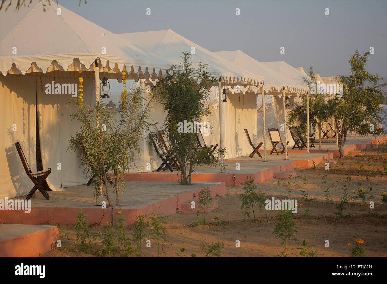 Royal Heritage campamento, Pushkar, Rajastán, India Foto de stock
