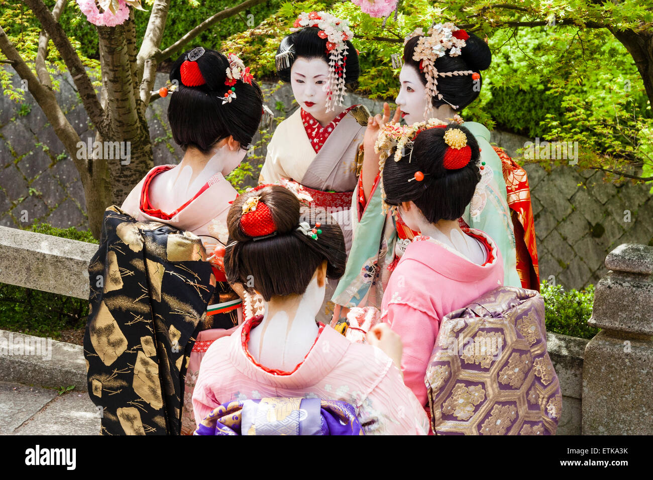 Japón, Kioto. Grupo de geisha japoneses, geiko, usando kimono, caminando al aire libre en el sol de primavera y admirando los cerezos en flor. Foto de stock