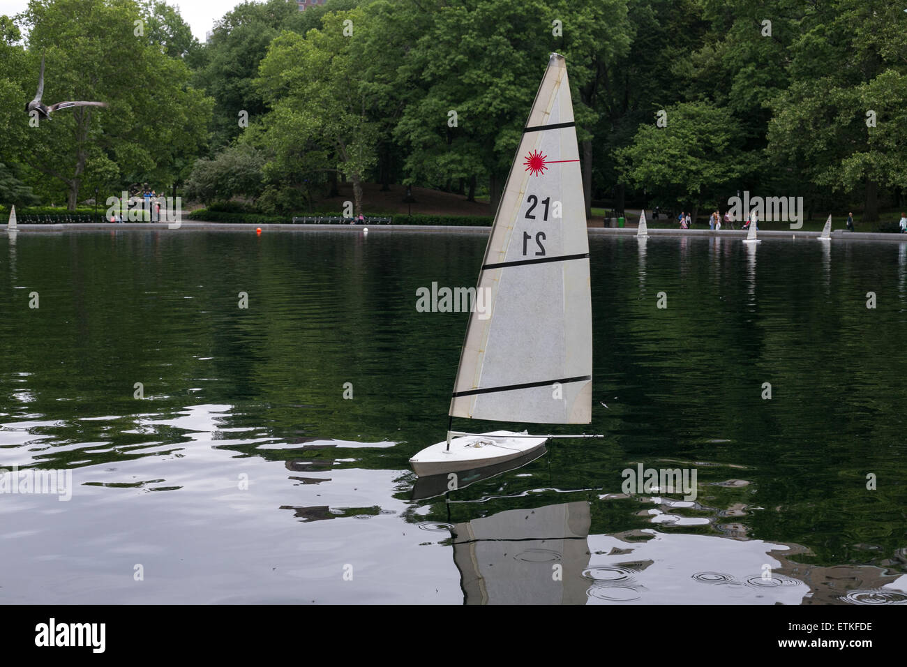 Modelo velero en el Conservatorio Lago en Central Park, New York. Foto de stock