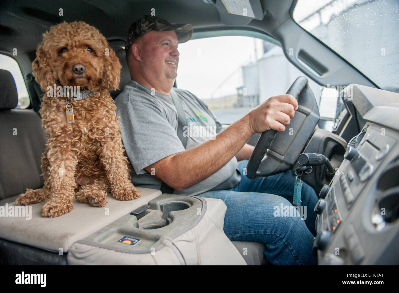 Agricultor en la cabina de su camión con su perro mascota sentado junto a él en Dalmacia, Pennsylvania, EE.UU. Foto de stock