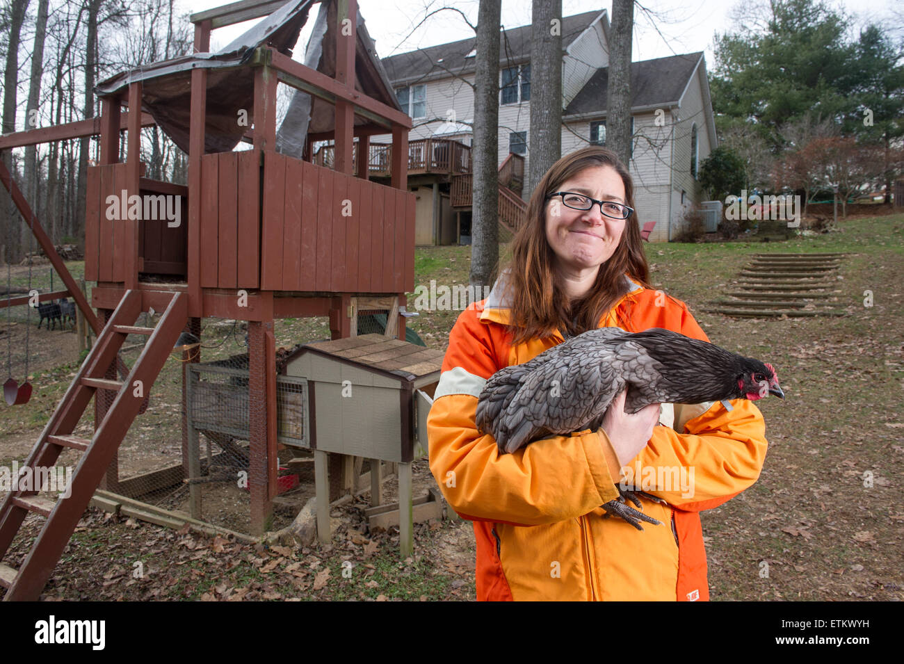 Mujer sosteniendo un pollo en el patio cerca de un gallinero en Eldersburg, Maryland, EE.UU Foto de stock