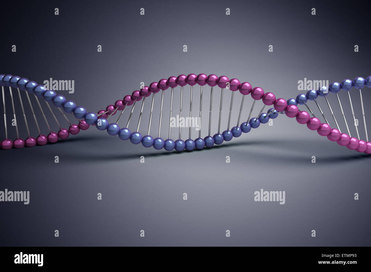 Ilustración estilizada de hebras de ADN humano, ácido desoxirribonucleico. Foto de stock